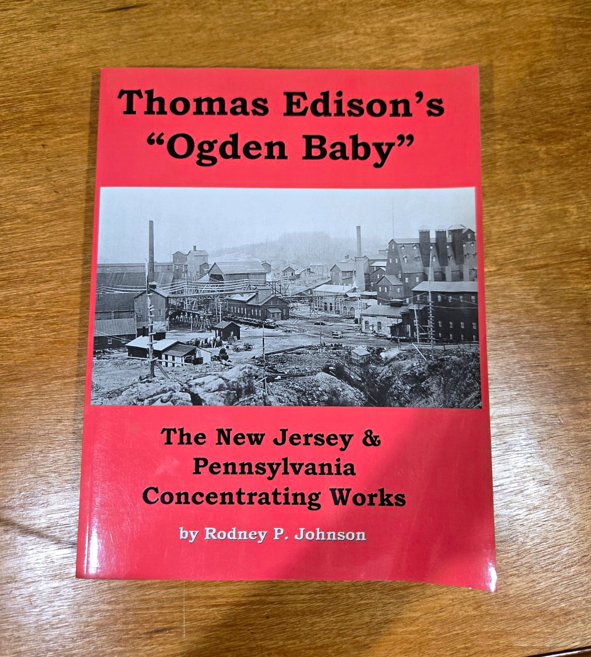 Thomas Edison's "Ogden Baby" Rodney P. Johnson Paperback 2004