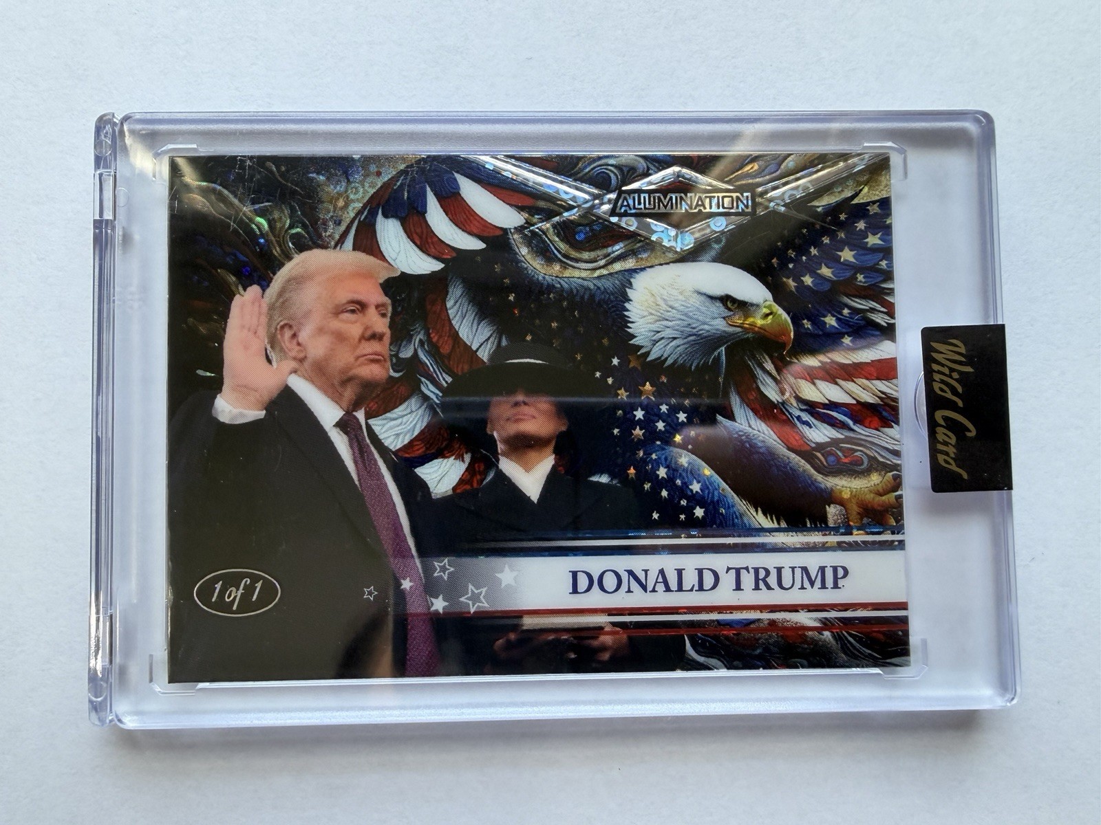 Donald Trump 1/1 Painted Eagle Swearing In 2nd Inauguration Horizontal