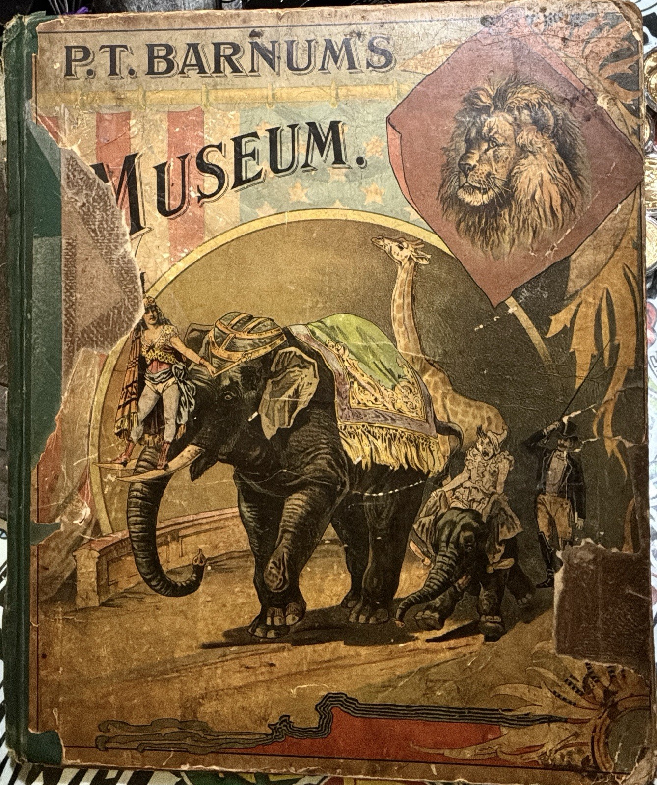 ANTIQUE 1888 P. T. BARNUM book lithograph CIRCUS MUSEUM art & and BAILEY READ!