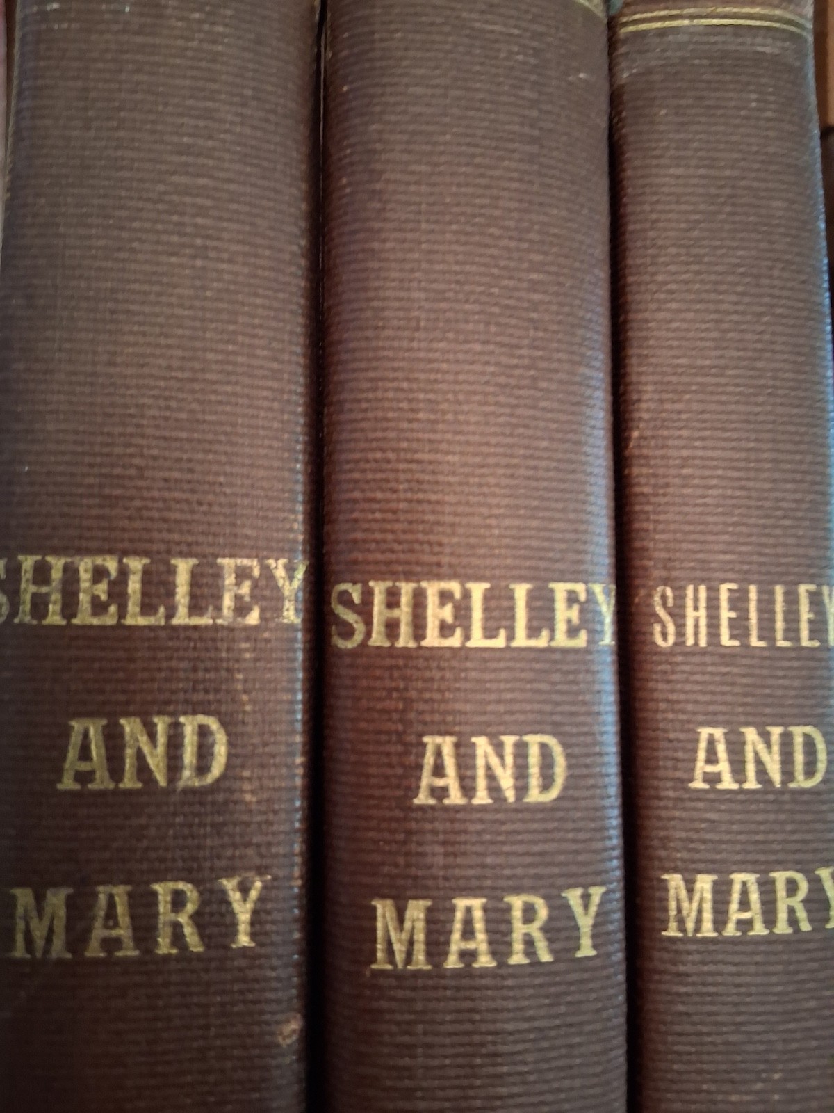 Shelley and Mary autographed by Donald Reiman from Frederick Jones typescript