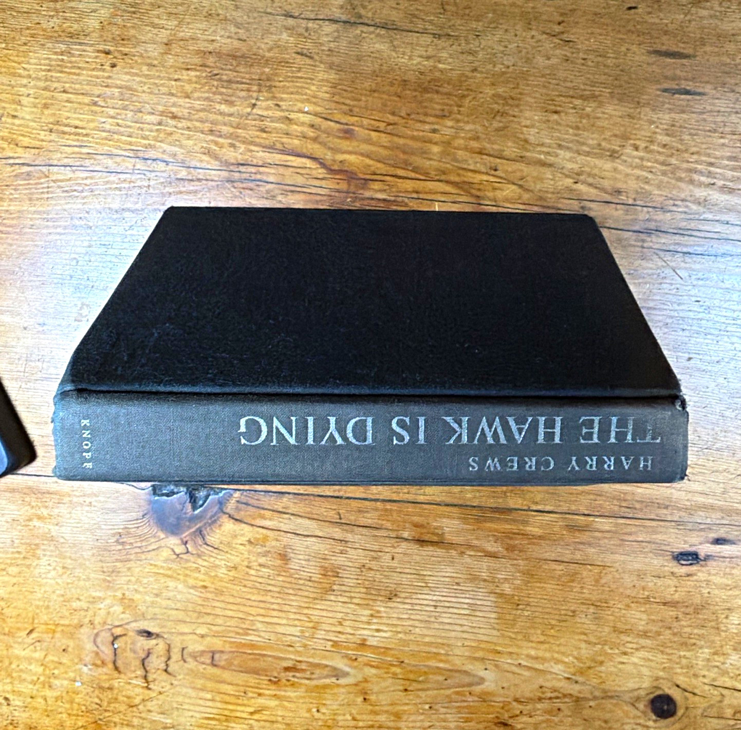 Harry Crews The Hawk Is Dying Hardcover Novel, Alfred A. Knopf 2000 (English)