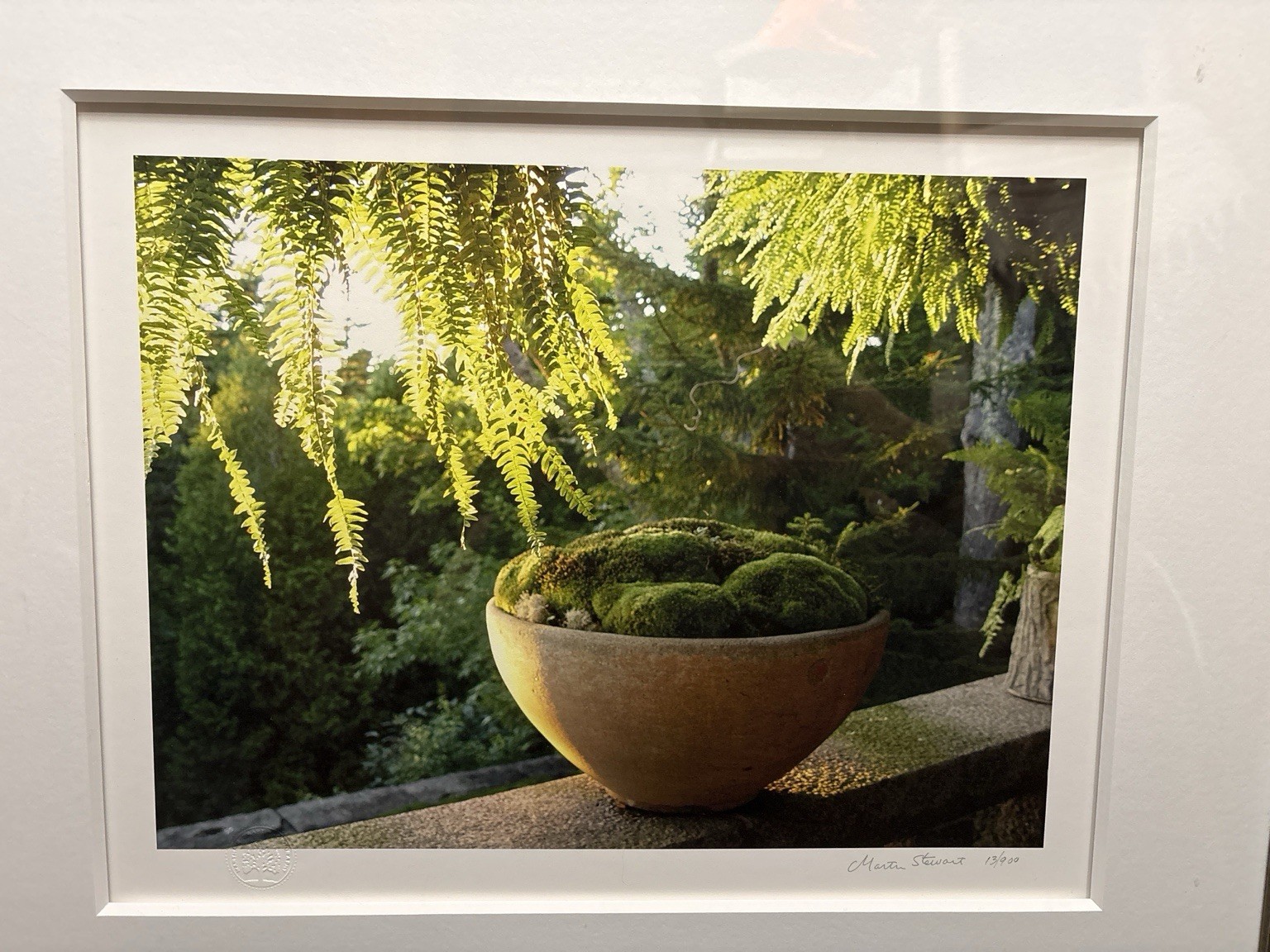Martha Stewart Signed Moss Bowl Ltd Ed Print 13/900 Framed With COA 25” x 21.5”